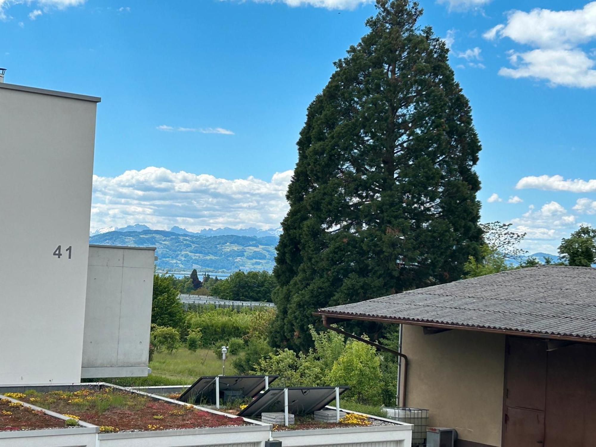 Ferienwohnungen Meyer リンダウ エクステリア 写真